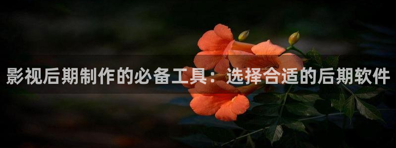 琪琪影院官网：影视后期制作的必备工具：选择合适的后期软件