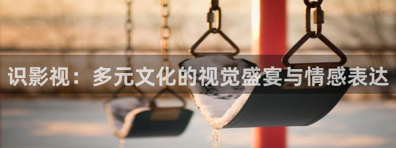 琪琪在线影院电视剧免费观看：识影视：多元文化的视觉盛宴与情感表达